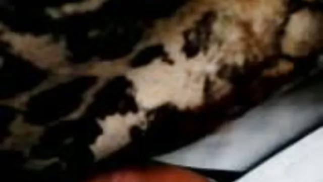 XXX hiçbir kayıt Çek cutie ally stil guzel sikis filimleri sıcak ona bazı dick alır