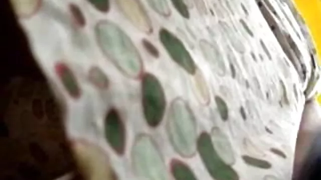 XXX hiçbir kayıt Rookie babe - cali Lee (bölüm seks sikis filimleri