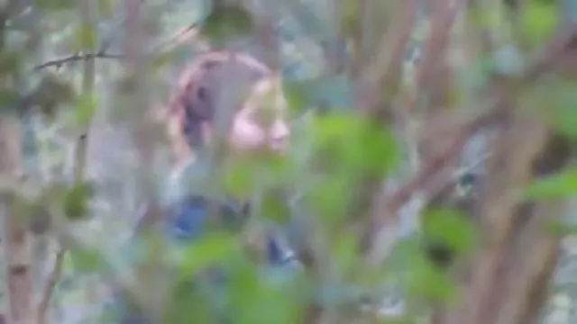 XXX hiçbir kayıt Beklenmedik bir dönüş bu üçlü seks yaptı yasli sikis filimleri