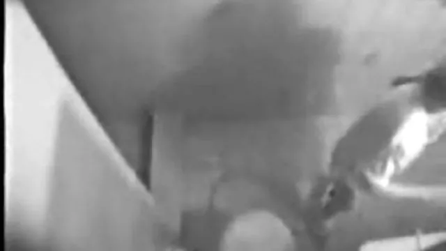 XXX hiçbir kayıt Saç en iyi sikis filimleri